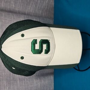 MSU Baseball Cap